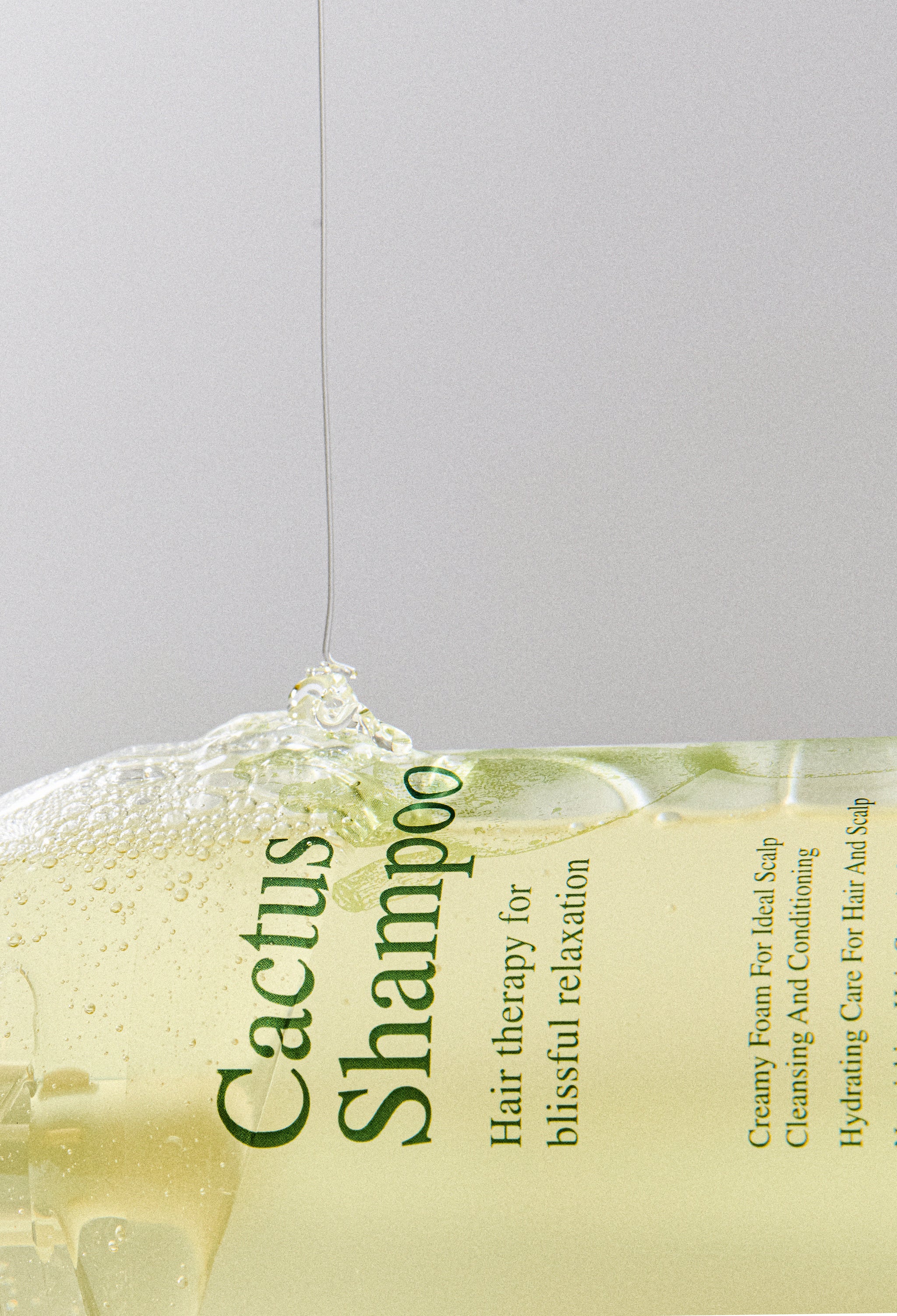 CACTUS SHAMPOO – Yadah Cosmetics