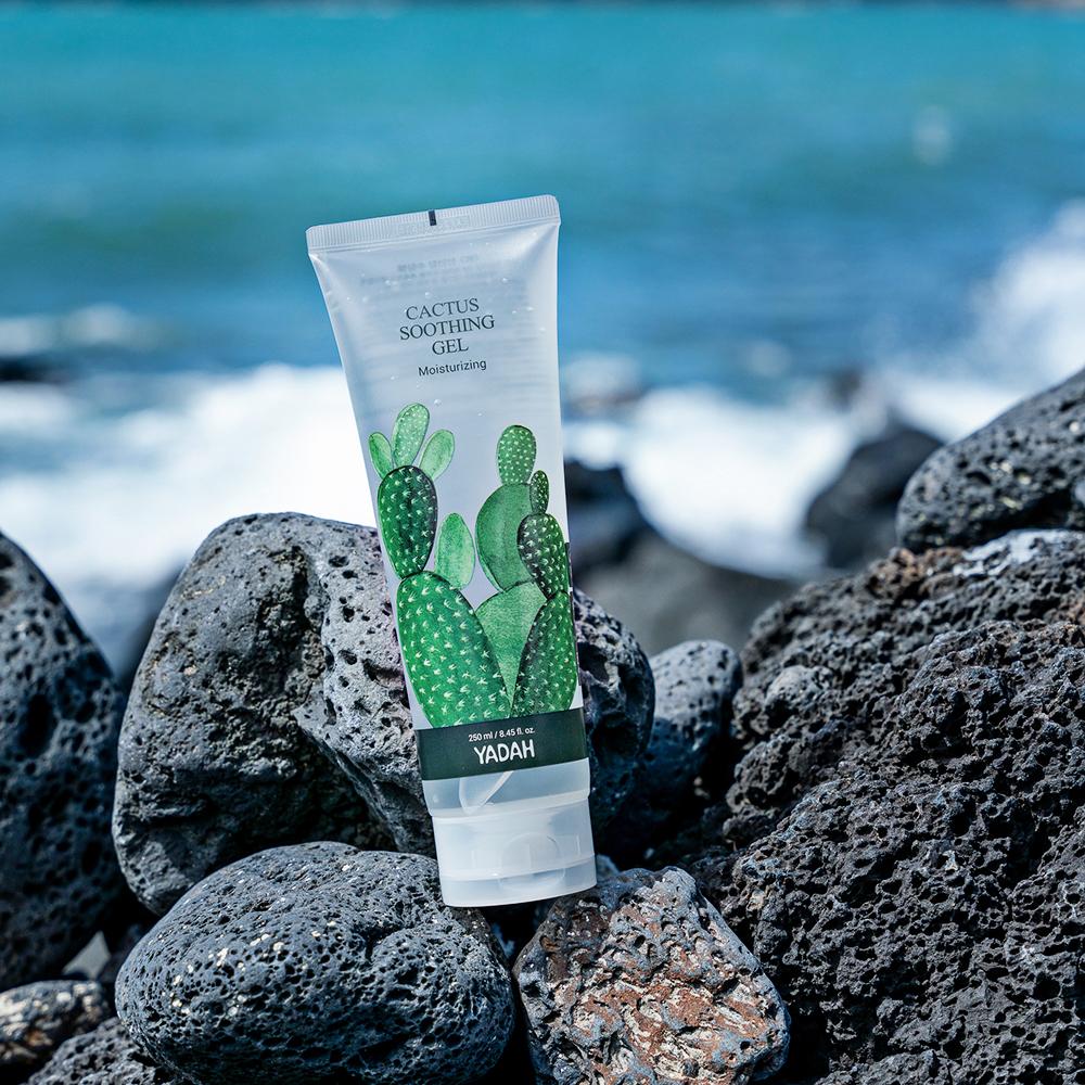 prickly pear cactus gel YADAH CACTUS SOOTHING GEL – Yadah Cosmetics